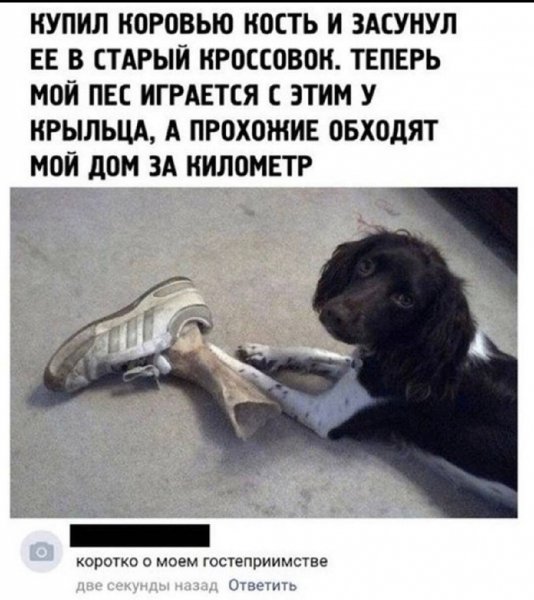Гостеприимство