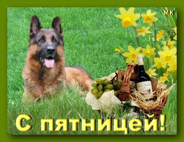 Всех и каждого!