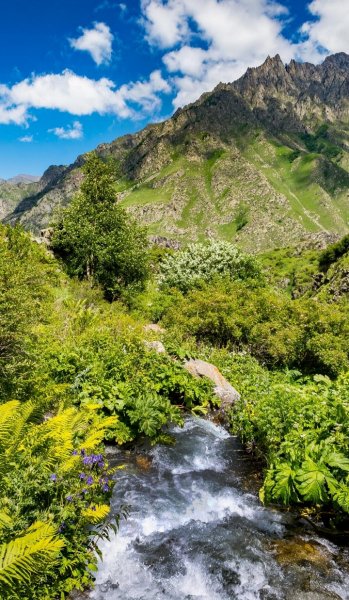 Screenshot 20260401-121627 One UI Home