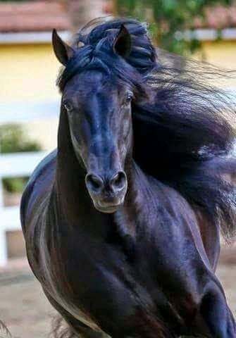 FB IMG 15898235715351631