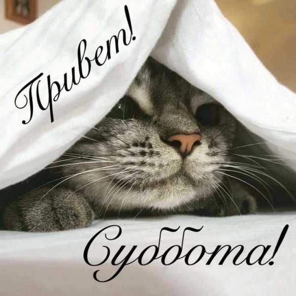 c245e15b43d819be2ee1a7b1029d