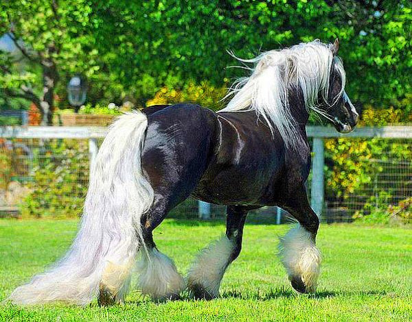 IMG 20161213 184725 5