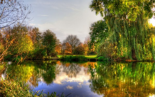 reka-tihaya-glad-berega