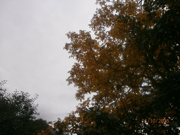 PA110020