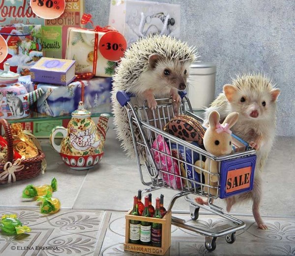 0acbeff54323f28ff2e96a0113af8982