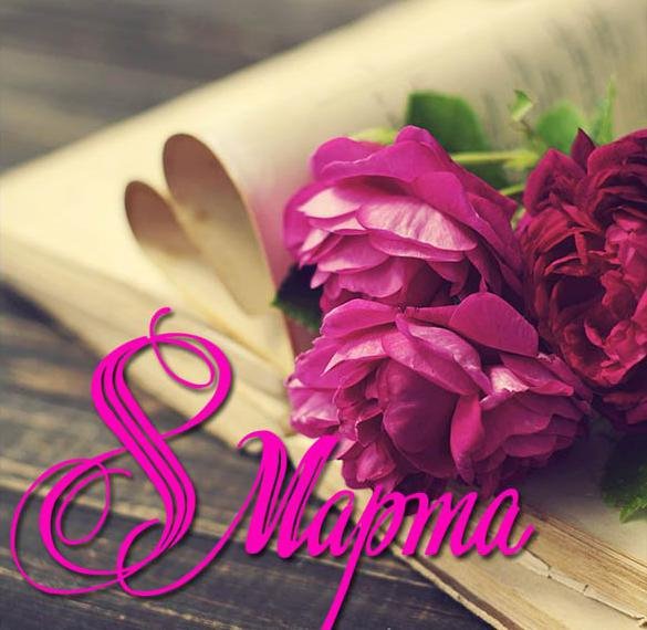 IMG-d722dfab45f7f7c87625c25e7df4e9ee-V