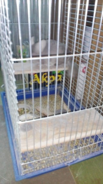IMG 20210111 092539