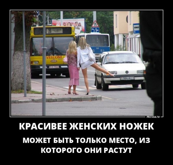 picture_248975781