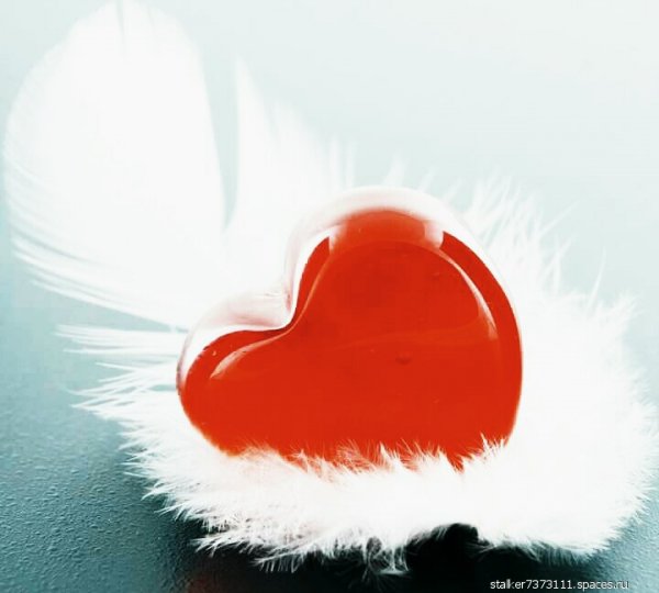 love 000121