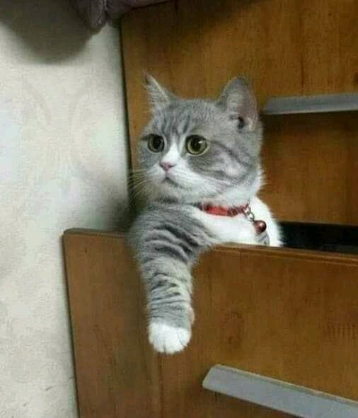 FB IMG Когда же вы меня найдете?