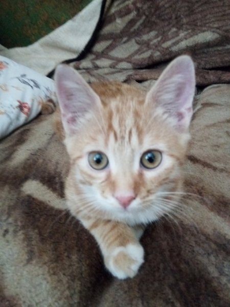 IMG 20240727 113945 3