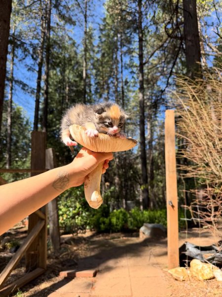 IMG 20260423 113553 473