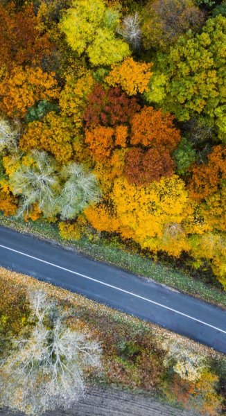 Screenshot 20251117-105216 One UI Home