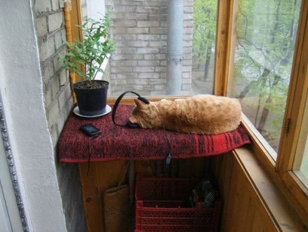 10-28-mixnews-acid picdump 64