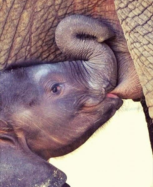 Df45ff235e2debb02768d42d818052a9