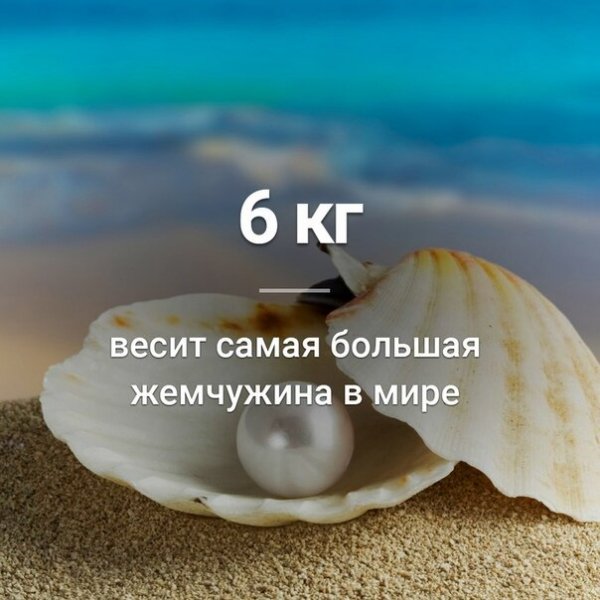gIWA9lRPCKw