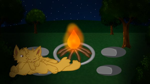 Джинджер и Джинджер Родились Близнецы | КОТЫ ВОИТЕЛИ