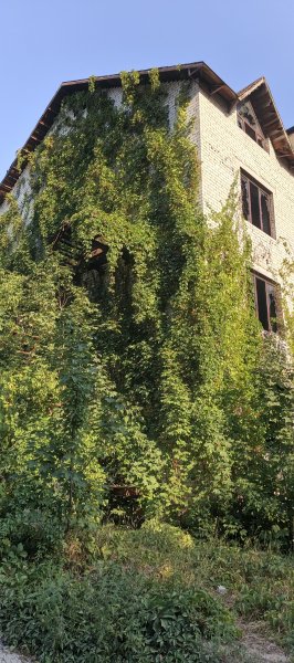 Проклятый старый дом