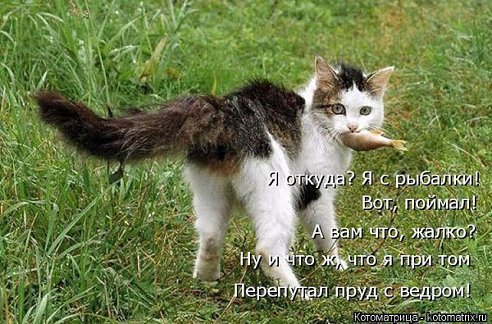 Перепутал