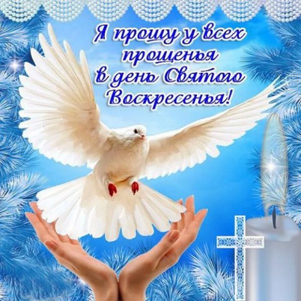 IMG-20200301-WA0006