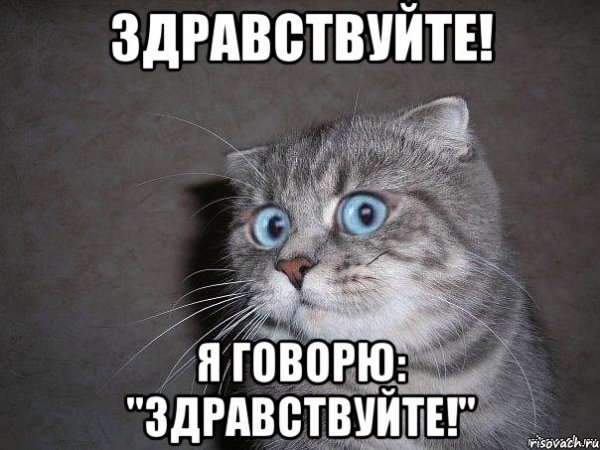 Здравствуйте
