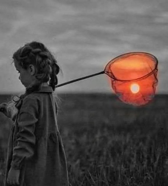 Bdc66f912d38106b4ddd392a0a3c1ca7