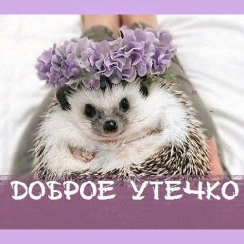 e576617852f7ada984e51b9a7b