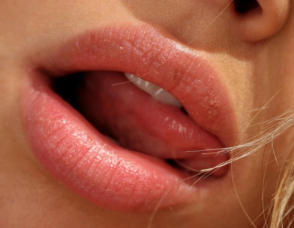 губки и язычёк