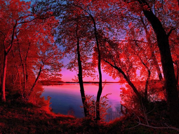 красота осени