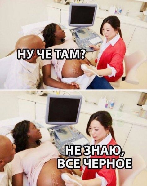 picture_370801721