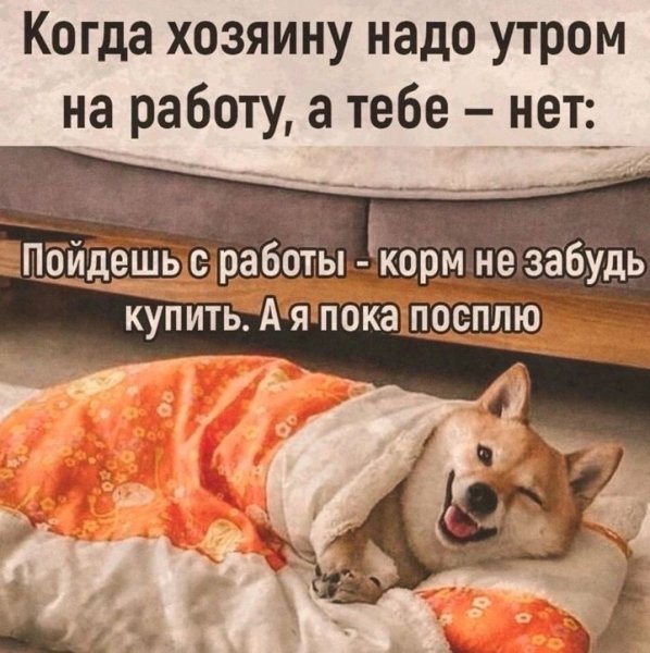 Опаньки!