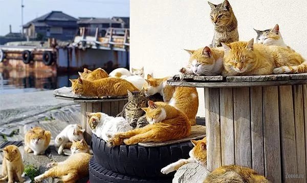 I - 2026-04-11T005118.075