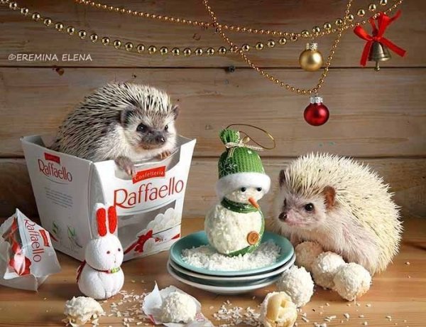 2cb5ea04461d610535640aff03192a85