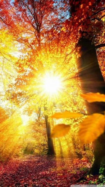 B80ce79e25c8ac72b82adb32aa494293