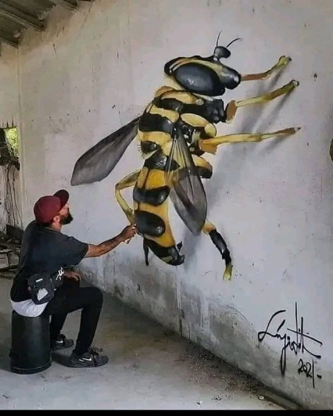 FB IMG 16739608190589724