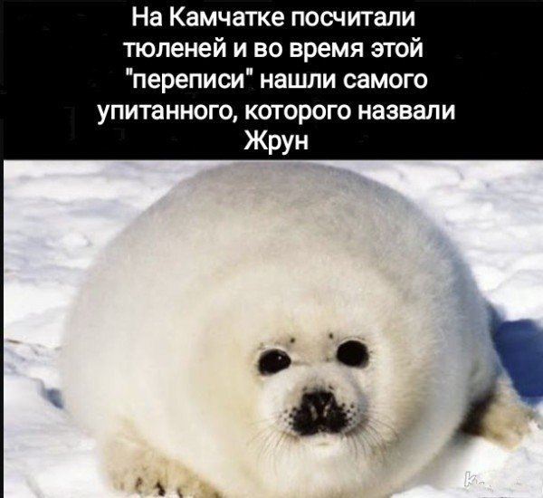 1c08ccbc7c 20561144