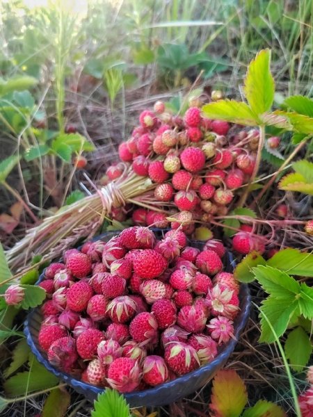 Вкусненько)