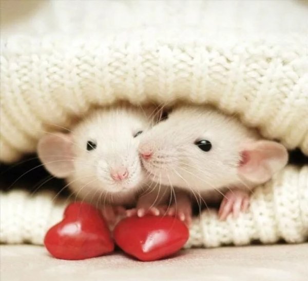 IMG 20230122 061951 598