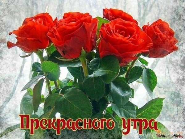 picture_263688611