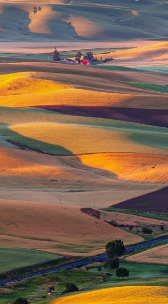 Screenshot 20250321-124647 One UI Home