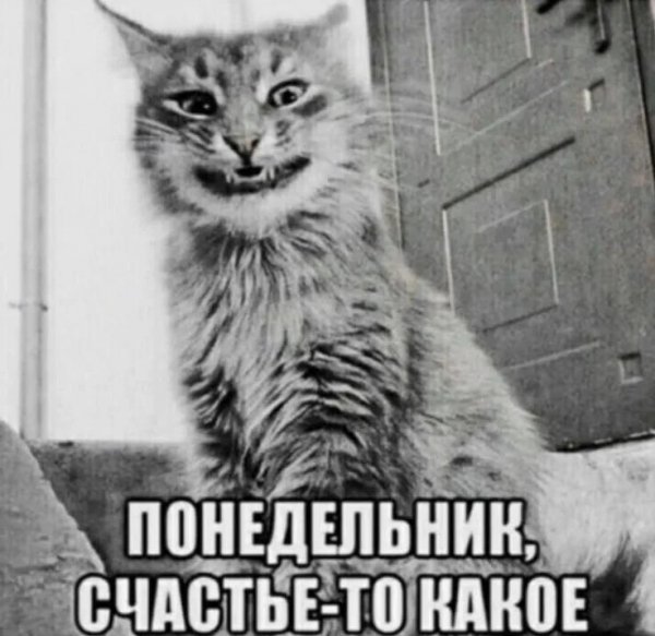Понедельник!