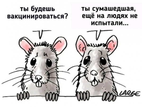 Mywi-