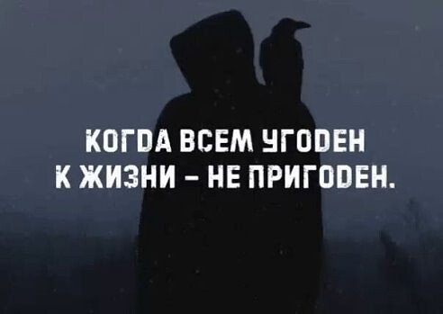 image (2) (11)