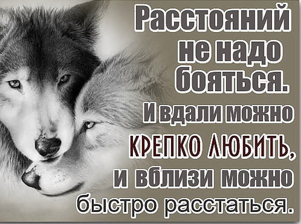 IMG 20180308 230448 48