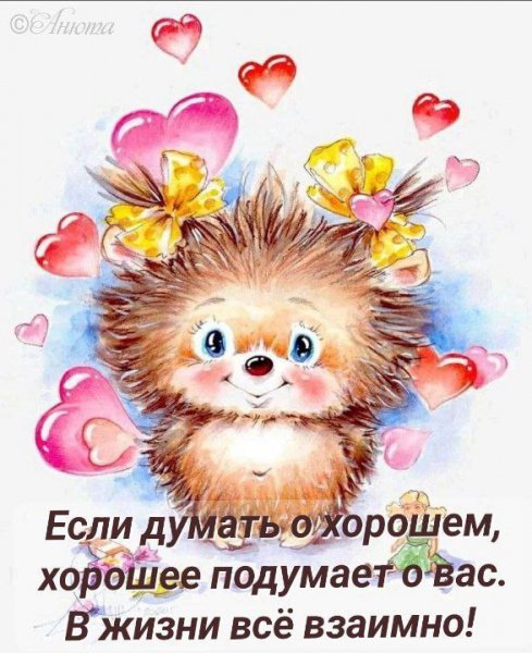 IMG 20230212 201436 514