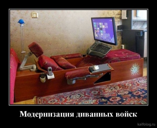 picture_381689626
