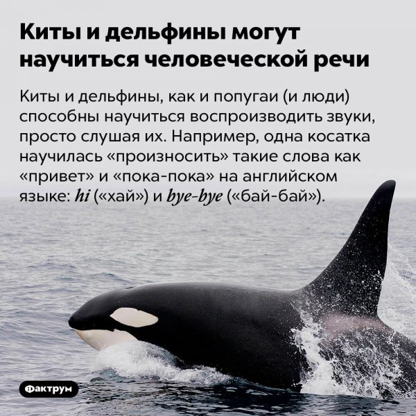 Это интересно