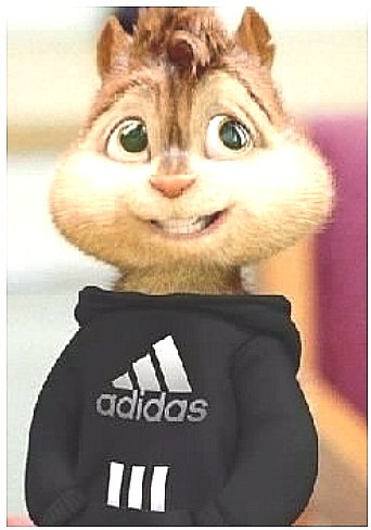 Adidas 000241