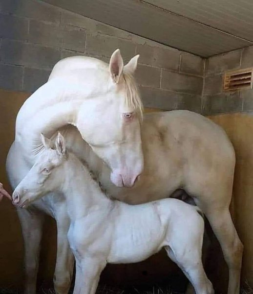 FB IMG 1619254613957