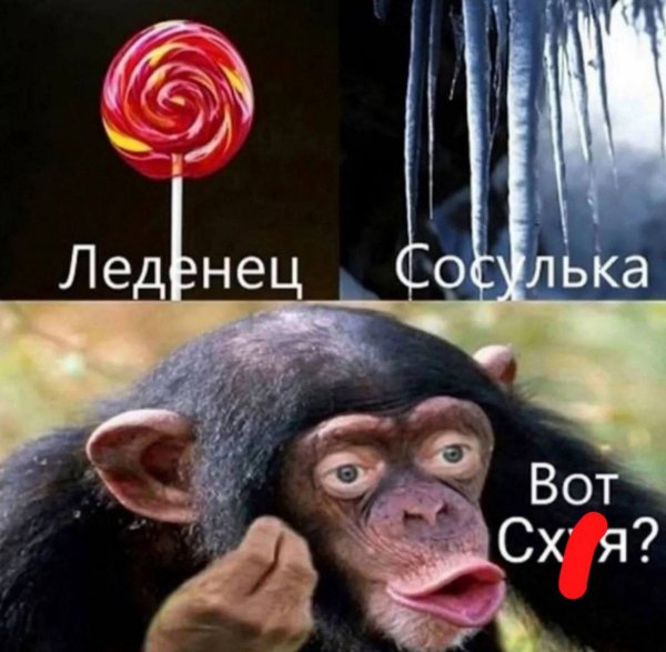 IMG 20260323 150252 936